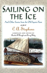 Enlarge image Cover: Sailing on the Ice - Rutledge Hill Press,U.S.
