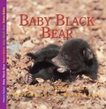 Cover: Baby Black Bear - Fitzhenry & Whiteside