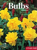 Cover: Bulbs - Firefly Books Ltd