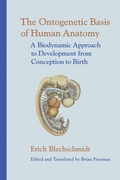 Bild: The Ontogenetic Basis of Human Anatomy - North Atlantic Books,U.S.