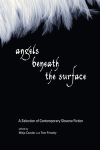 Enlarge image Cover: Angels Beneath the Surface - North Atlantic Books,U.S.