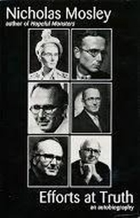 Enlarge image Cover: Efforts at Truth - Dalkey Archive Press