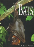 Cover: Bats - Fitzhenry & Whiteside