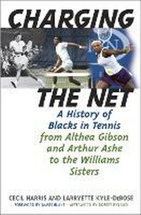 Abbildung von: Charging the Net - Ivan R Dee, Inc