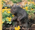 Cover: Baby Porcupine - Fitzhenry & Whiteside Ltd