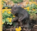 Cover: Baby Porcupine - Fitzhenry & Whiteside