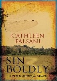 Enlarge image Cover: Sin Boldly - Zondervan