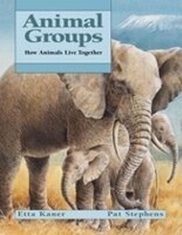 Enlarge image Cover: Animal Groups - Kids Can Press