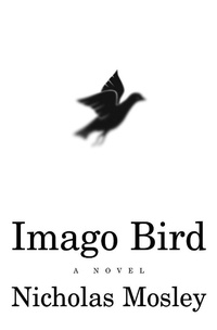 Enlarge image Cover: Imago Bird - Dalkey Archive Press