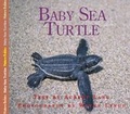 Cover: Baby Sea Turtle - Fitzhenry & Whiteside