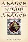 Cover: A Nation Within a Nation - Ivan R. Dee