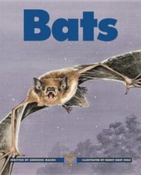 Enlarge image Cover: Bats - Kids Can Press