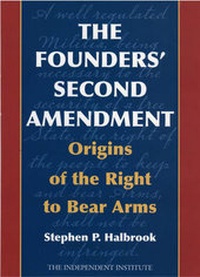 Abbildung von: The Founders' Second Amendment - Ivan R Dee, Inc
