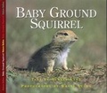 Cover: Baby Ground Squirrel - Fitzhenry & Whiteside Ltd