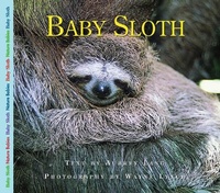 Enlarge image Cover: Baby Sloth - Fitzhenry & Whiteside Ltd