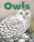 Cover: Owls - Kids Can Press