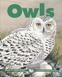 Enlarge image Cover: Owls - Kids Can Press