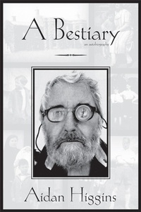 Enlarge image Cover: Bestiary - Dalkey Archive Press