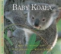 Cover: Baby Koala - Fitzhenry & Whiteside Ltd