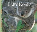 Cover: Baby Koala - Fitzhenry & Whiteside Ltd