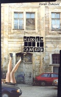 Cover: Hidden Camera - Dalkey Archive Press