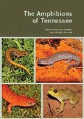 Cover: The Amphibians of Tennessee - University of Tennessee Press