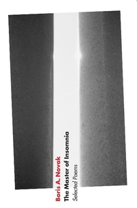 Enlarge image Cover: The Master of Insomnia - Dalkey Archive Press