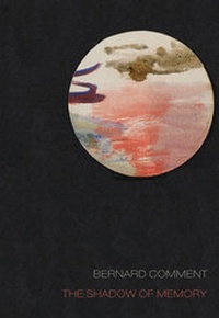 Enlarge image Cover: The Shadow of Memory - Dalkey Archive Press