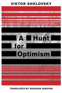 Enlarge image Cover: A Hunt for Optimism - Dalkey Archive Press