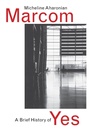 Cover: A Brief History of Yes - Dalkey Archive Press
