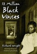 Cover: 12 Million Black Voices - Avalon Travel Publishing