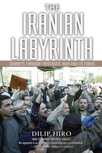 Abbildung von: The Iranian Labyrinth - Nation Books
