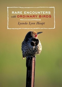 Enlarge image Cover: Rare Encounters with Ordinary Birds - Blue Star Press