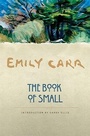 Cover: The Book of Small - Greystone Books,Canada