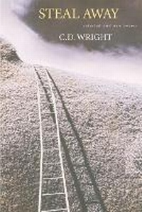 Enlarge image Cover: Steal Away - Copper Canyon Press,U.S.