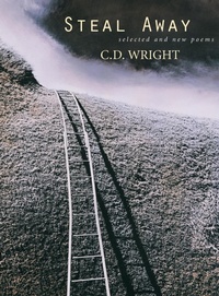 Enlarge image Cover: Steal Away - Copper Canyon Press,U.S.