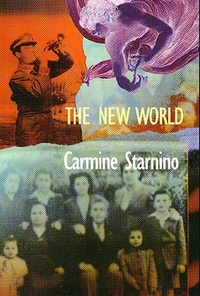Enlarge image Cover: The New World - Vehicule Press