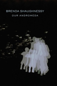 Enlarge image Cover: Our Andromeda - Copper Canyon Press,U.S.