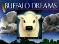 Cover: Buffalo Dreams - Westwinds Press