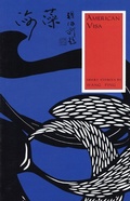 Cover: American Visa - Coffee House Press