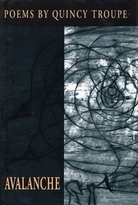 Enlarge image Cover: Avalanche - Coffee House Press