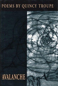 Enlarge image Cover: Avalanche - Coffee House Press