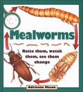 Cover: Mealworms - Kids Can Press