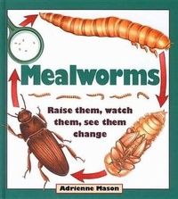 Enlarge image Cover: Mealworms - Kids Can Press