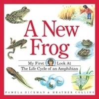 Enlarge image Cover: New Frog - Kids Can Press