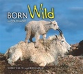 Cover: Born Wild in Colorado - Farcountry Press