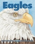 Cover: Eagles - Kids Can Press