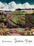 Cover: Thrown Rope - Princeton Architectural Press