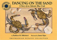 Enlarge image Cover: Dancing on the Sand - Soundprints Corporation,U.S.