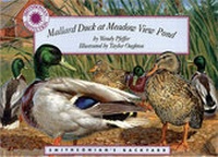 Enlarge image Cover: Mallard Duck at Meadow View Pond - Soundprints Corporation,U.S.